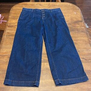 🌸Cleo wide leg cropped pants with a button fly